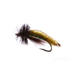 Caddis Poopah Olive